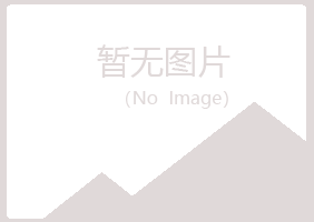 四川夏岚金融有限公司